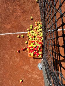 Mehr über den Artikel erfahren Clubmeisterschaften Mixed und Saisonabschluß am 27.09.